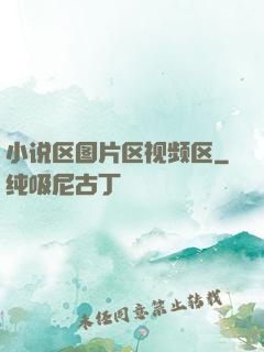小说区图片区视频区