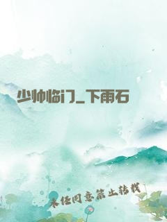 少帅临门