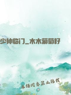 少帅临门