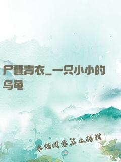尸囊青衣