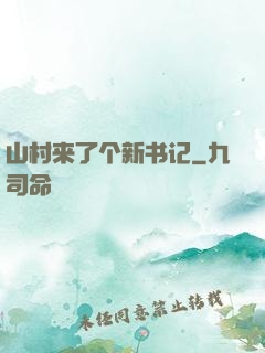 山村来了个新书记