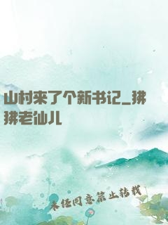 山村来了个新书记