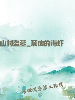 山村盗墓
