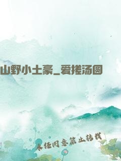 山野小土豪