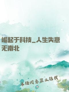 崛起于科技