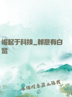 崛起于科技