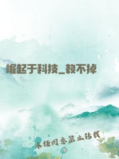 崛起于科技