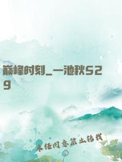 巅峰时刻