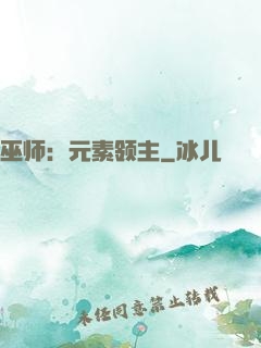 巫师：元素领主