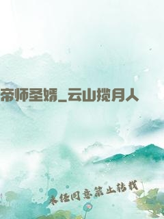 帝师圣婿