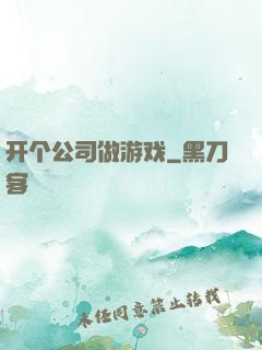 开个公司做游戏
