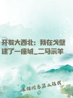 开发大西北：我在戈壁建了一座城