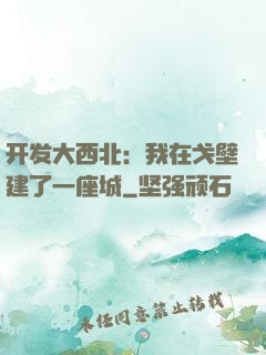 开发大西北：我在戈壁建了一座城