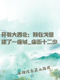 开发大西北：我在戈壁建了一座城