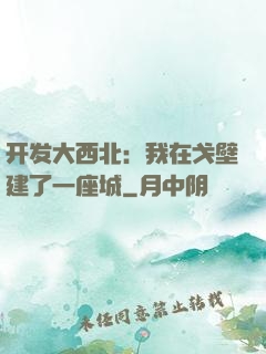 开发大西北：我在戈壁建了一座城