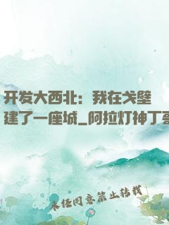 开发大西北：我在戈壁建了一座城