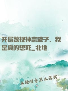 开局蔑视神宗道子，我是真的想死