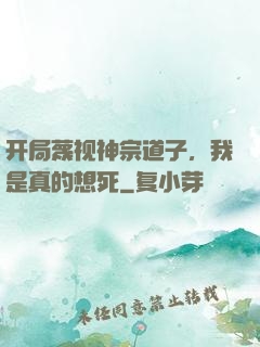 开局蔑视神宗道子，我是真的想死