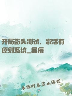 开局街头测试，激活有原则系统