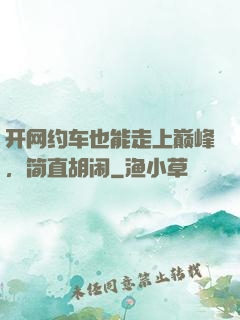开网约车也能走上巅峰，简直胡闹