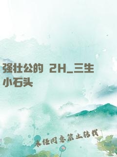 强壮公的泬2H