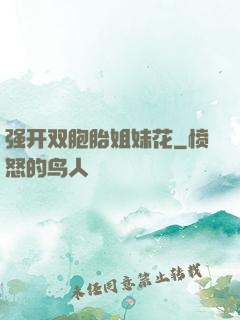 强开双胞胎姐妹花