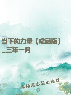 当下的力量（珍藏版）