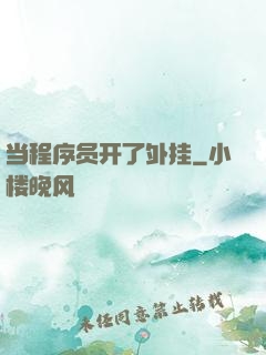 当程序员开了外挂