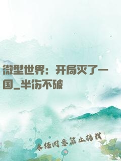 微型世界：开局灭了一国