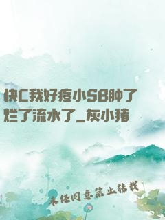 快C我好疼小SB肿了烂了流水了