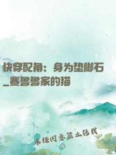 快穿配角：身为垫脚石