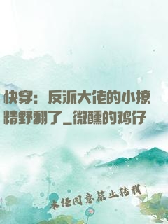 快穿：反派大佬的小撩精野翻了