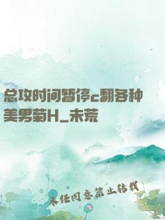 总攻时间暂停c翻各种美男菊H