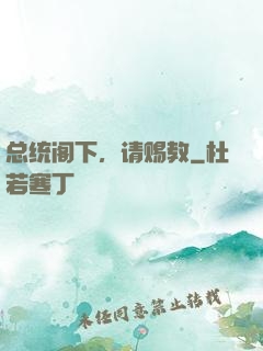 总统阁下，请赐教