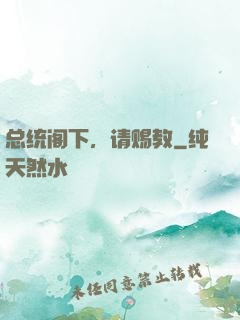 总统阁下，请赐教