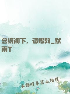 总统阁下，请赐教