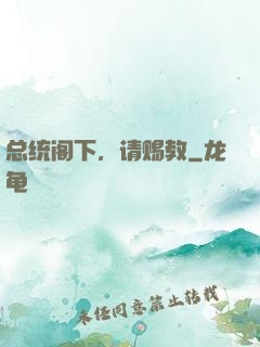 总统阁下，请赐教