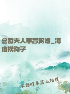 总裁夫人奉旨离婚