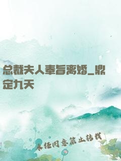 总裁夫人奉旨离婚