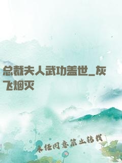 总裁夫人武功盖世