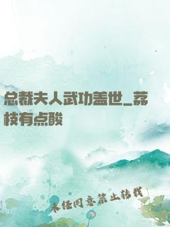总裁夫人武功盖世