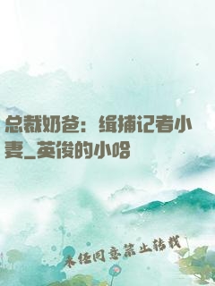 总裁奶爸：缉捕记者小妻