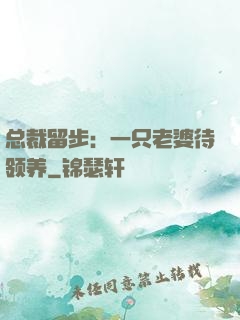 总裁留步：一只老婆待领养