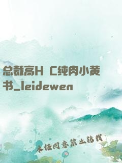 总裁高H掹C纯肉小黄书