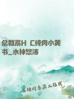 总裁高H掹C纯肉小黄书