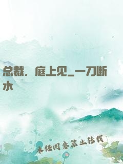总裁，庭上见