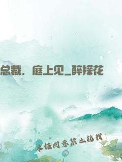 总裁，庭上见