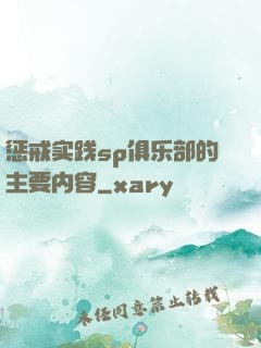 惩戒实践sp俱乐部的主要内容