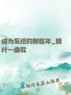 成为系统的那些年