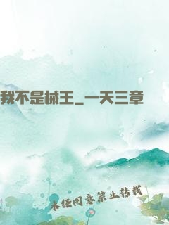 我不是械王